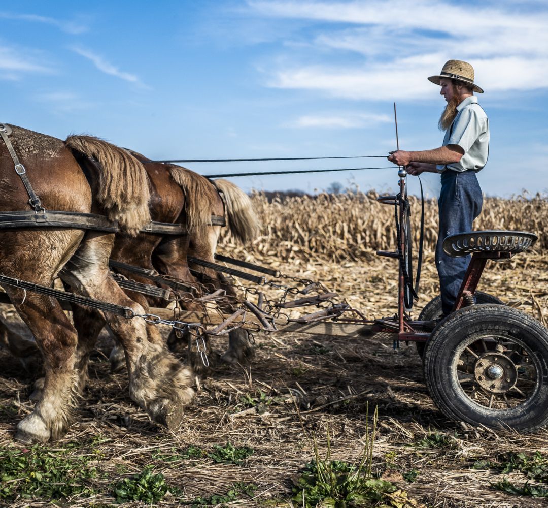 Amish People Foto: Silas Koch